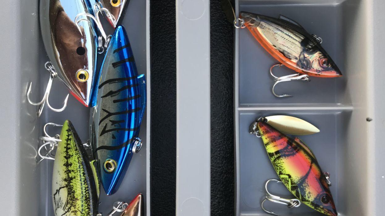Fewer hours of daylight lead to cooler water, hotter bass